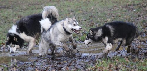 IMG-20231219-WA0081