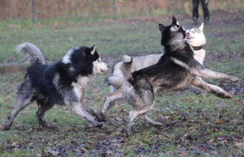 IMG-20231219-WA0082