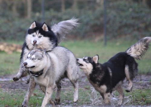 IMG-20231219-WA0086