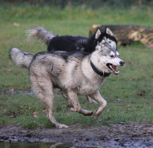 IMG-20231219-WA0087