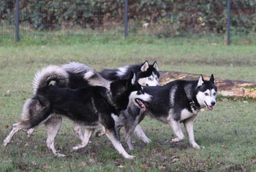 IMG-20231219-WA0095