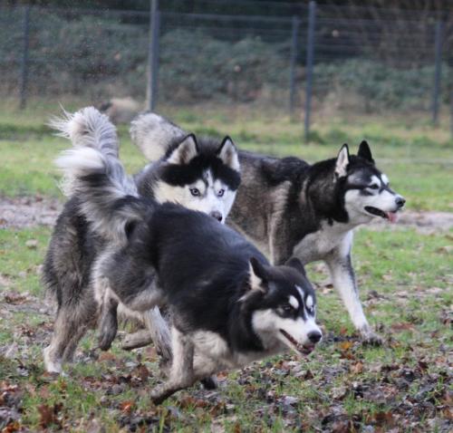 IMG-20231219-WA0097