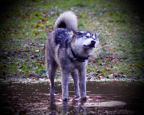 IMG-20231219-WA0101
