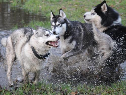IMG-20231219-WA0104