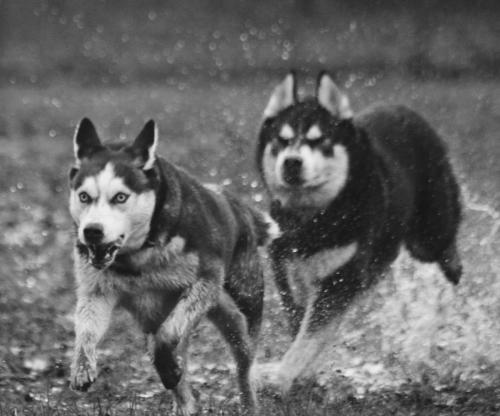 IMG-20231219-WA0105