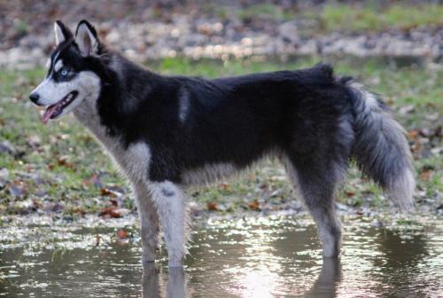 IMG-20231219-WA0107