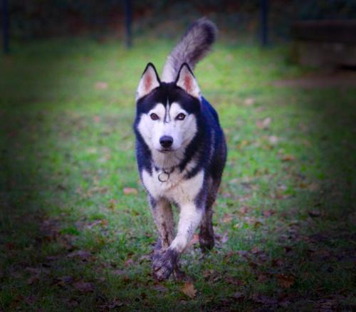 IMG-20231219-WA0130