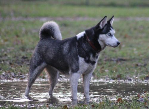 IMG-20231219-WA0159