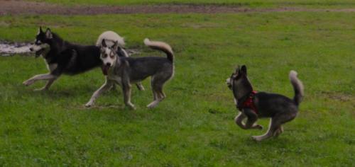 IMG-20230928-WA0021