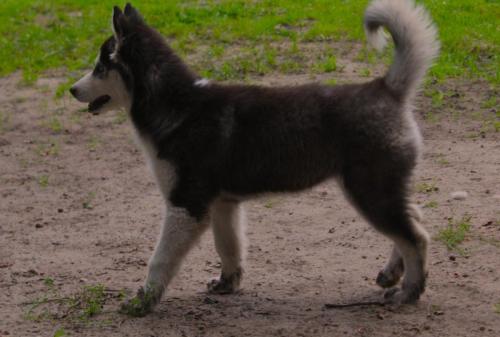 IMG-20230928-WA0031
