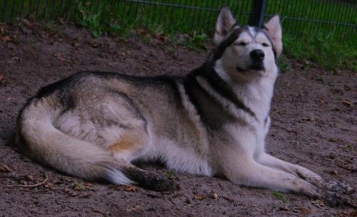 IMG-20230928-WA0042