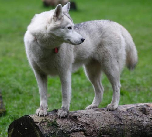 IMG-20231029-WA0059 (1)