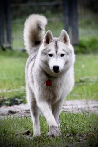 IMG-20231029-WA0076 (1)