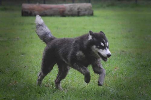 IMG-20231029-WA0077 (1)