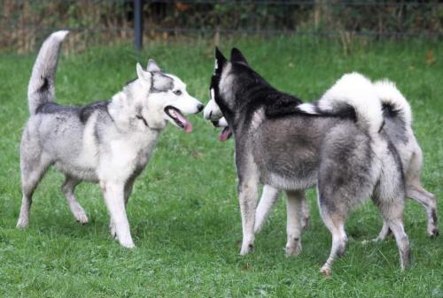 IMG-20231031-WA0021 (1)