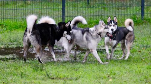 IMG-20231031-WA0023 (1)