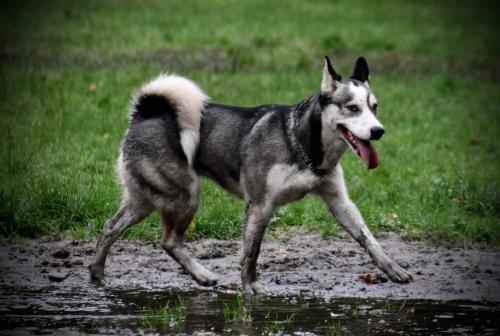 IMG-20231031-WA0024 (1)