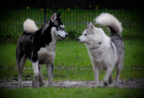 IMG-20231031-WA0030 (1)