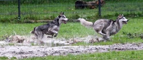 IMG-20231031-WA0039 (1)